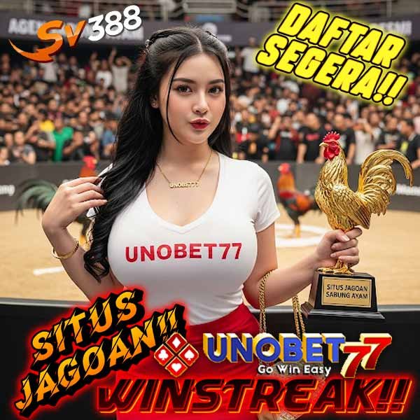 UNOBET77 >> Agen Sabung Ayam Resmi Terpercaya dan Terpopuler